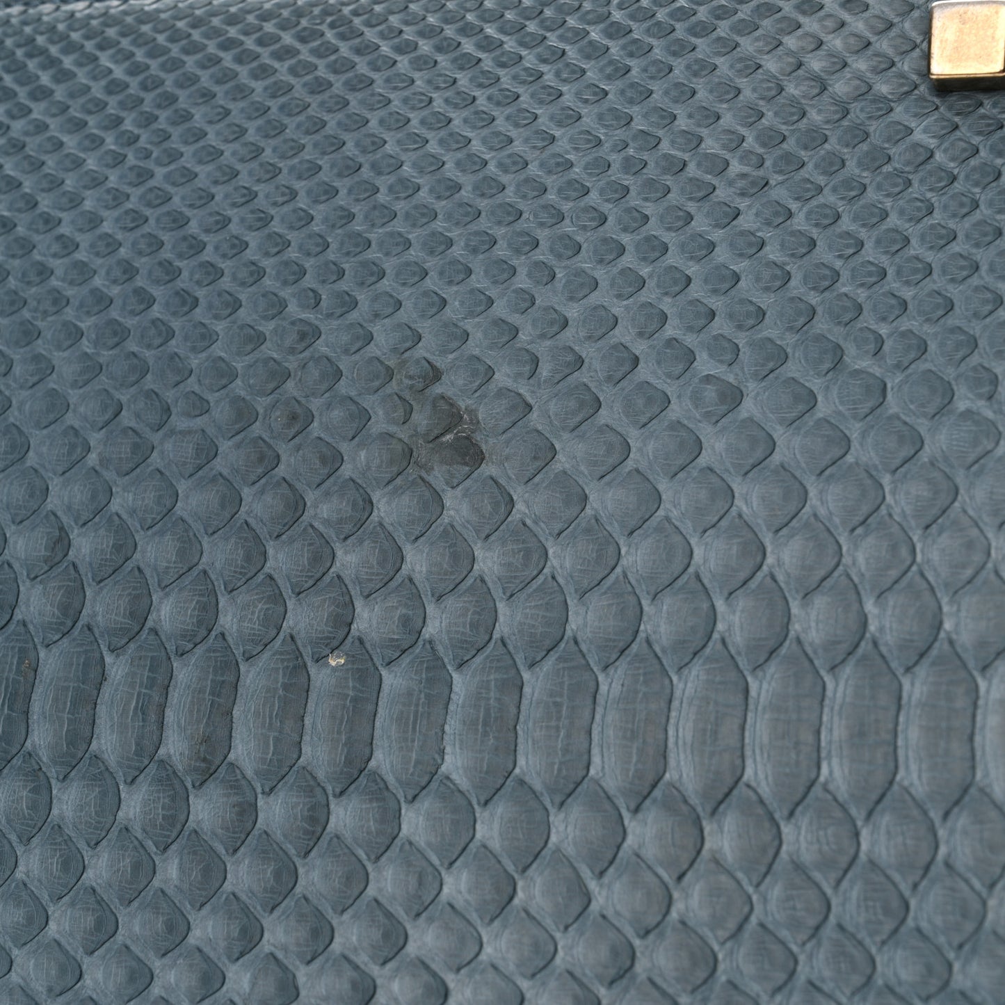Snakeskin Medium Phantom Luggage Grey