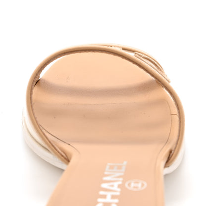 Chanel Lambskin PVC Mule 38.5 Transparent Beige 12 of 13