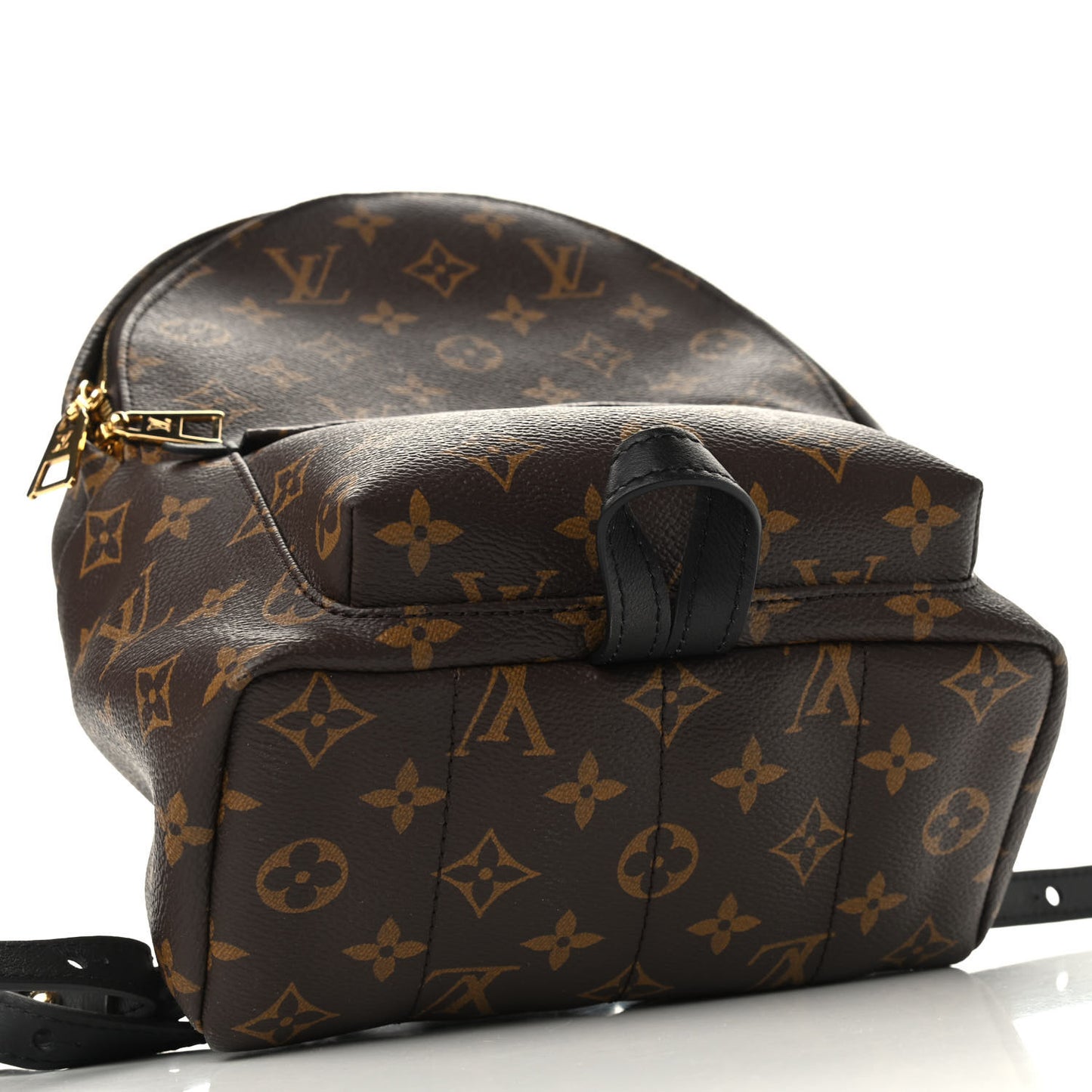 Monogram Palm Springs Backpack PM