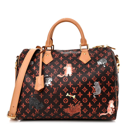 Louis Vuitton Catogram Speedy Bandouliere 30 Marron 1 of 10