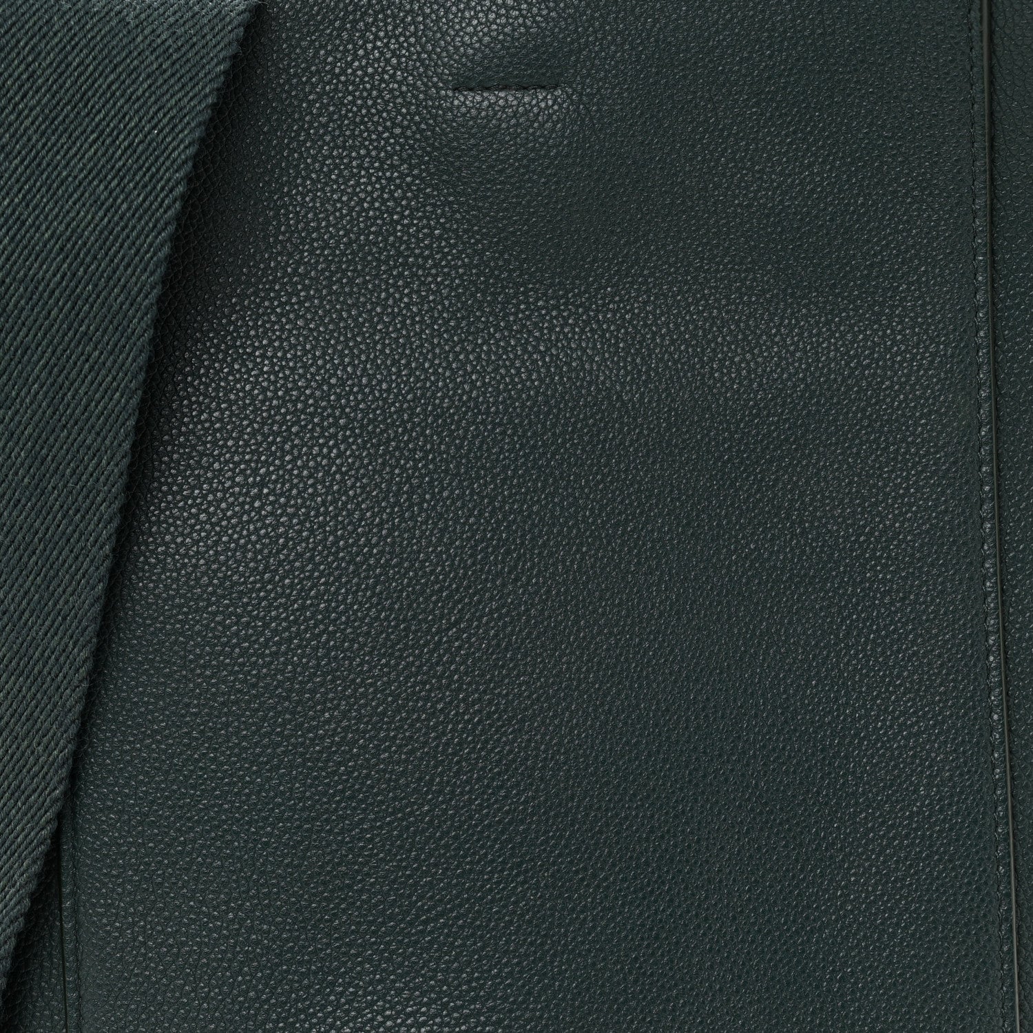 Celine Soft Grained Calfskin Small Sangle Bucket Bag Amazone 8 of 10