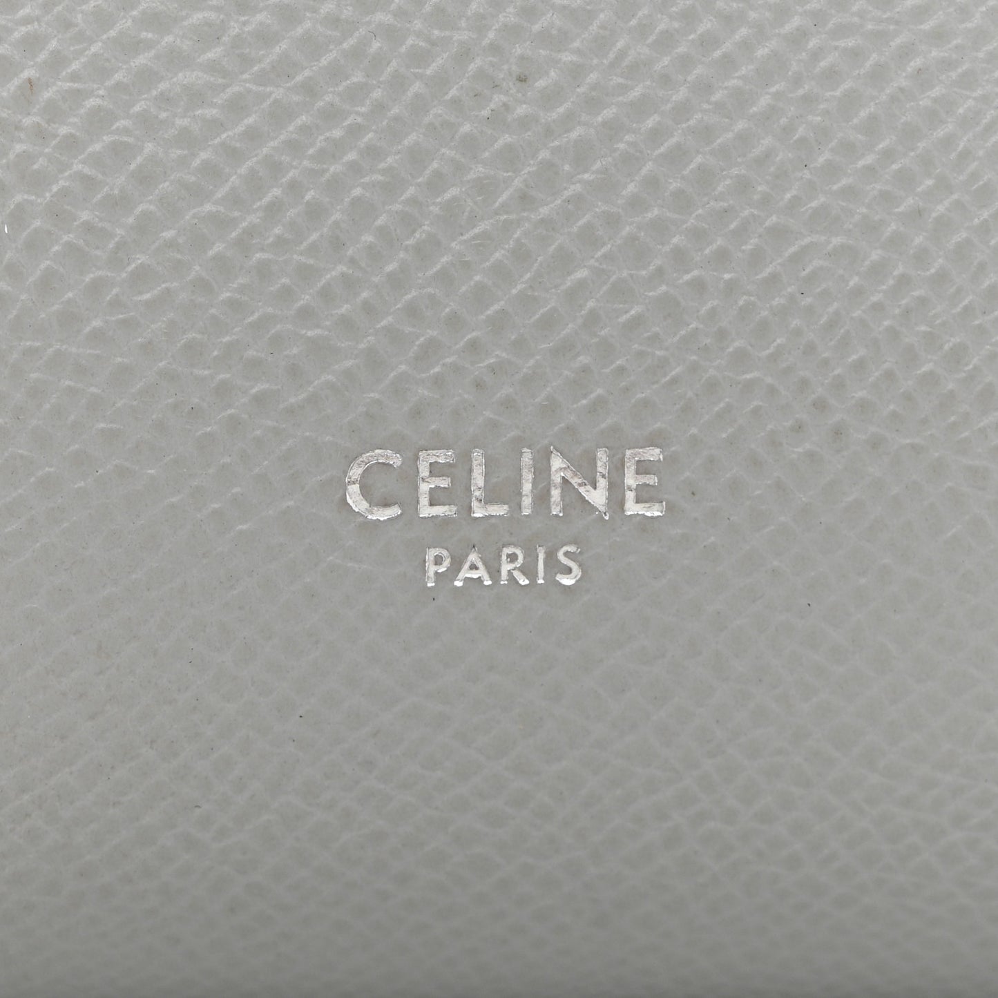 Grained Calfskin Nano Belt Bag Mineral