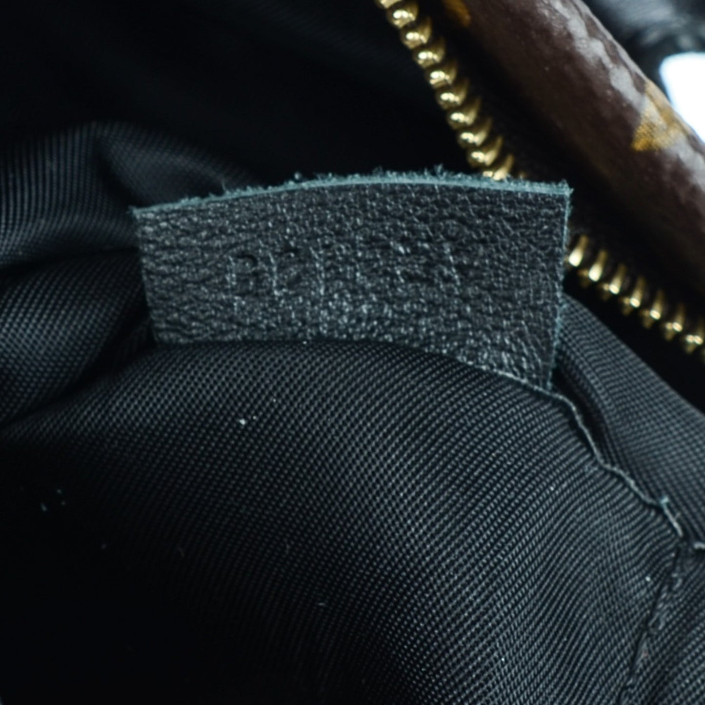 Monogram Palm Springs Backpack Mini