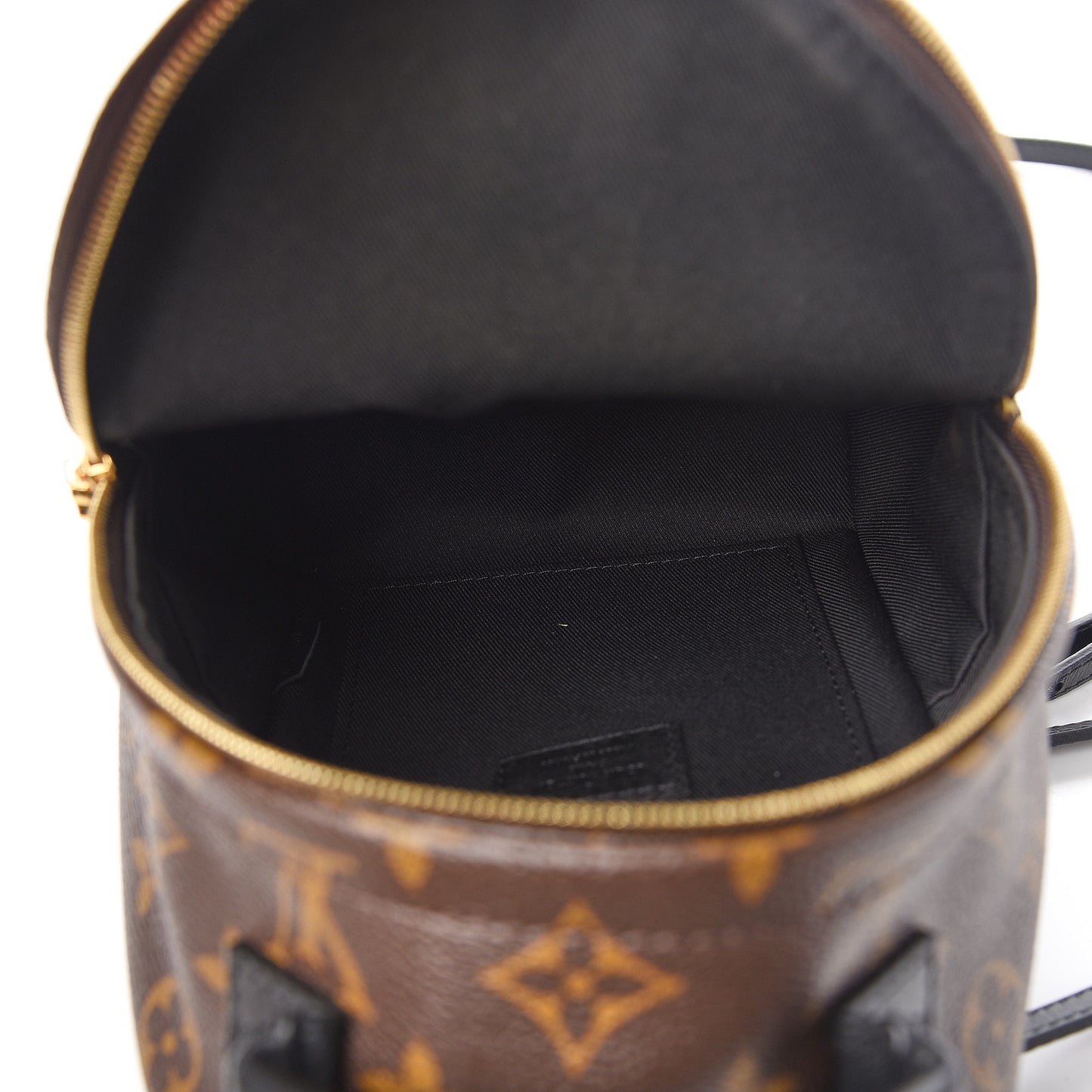 Monogram Palm Springs Backpack Mini