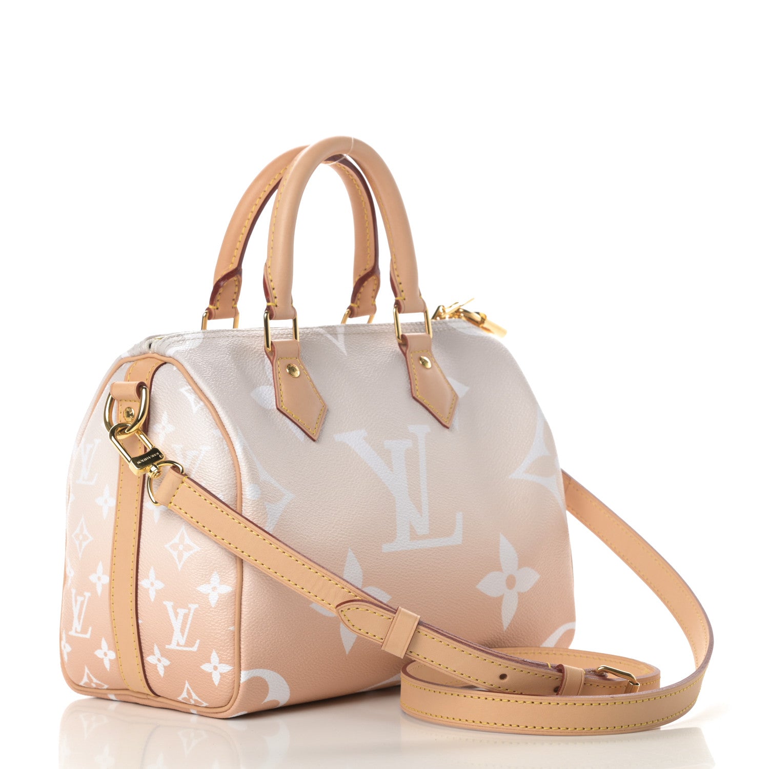Louis Vuitton Monogram Giant By The Pool Speedy Bandouliere 25 Brume 3 of 10