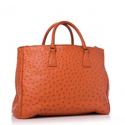 Prada Ostrich Double Zip Tote Papaya 3 of 14