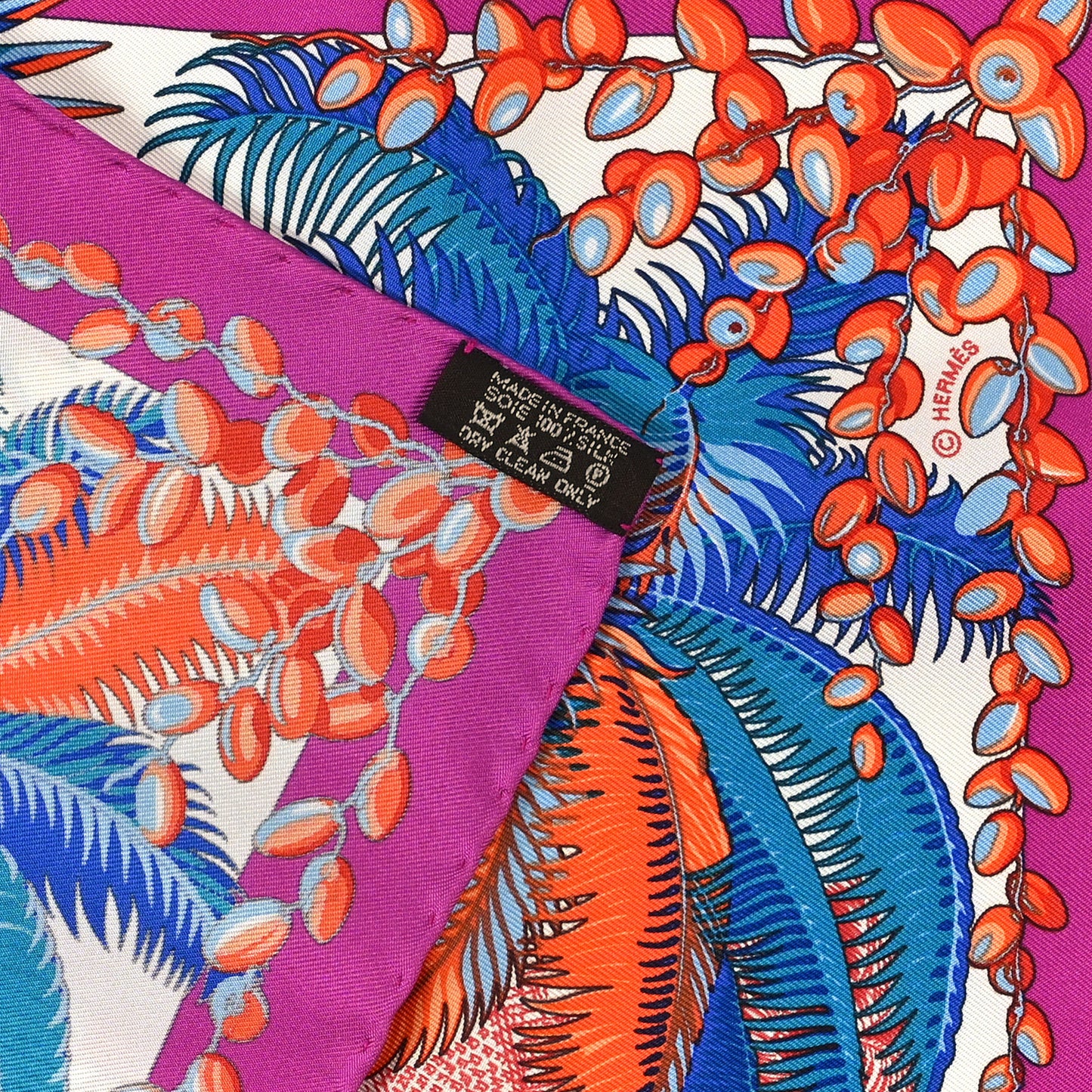 Silk Mythiques Phoenix Coloriage Scarf 45 Fuchsia