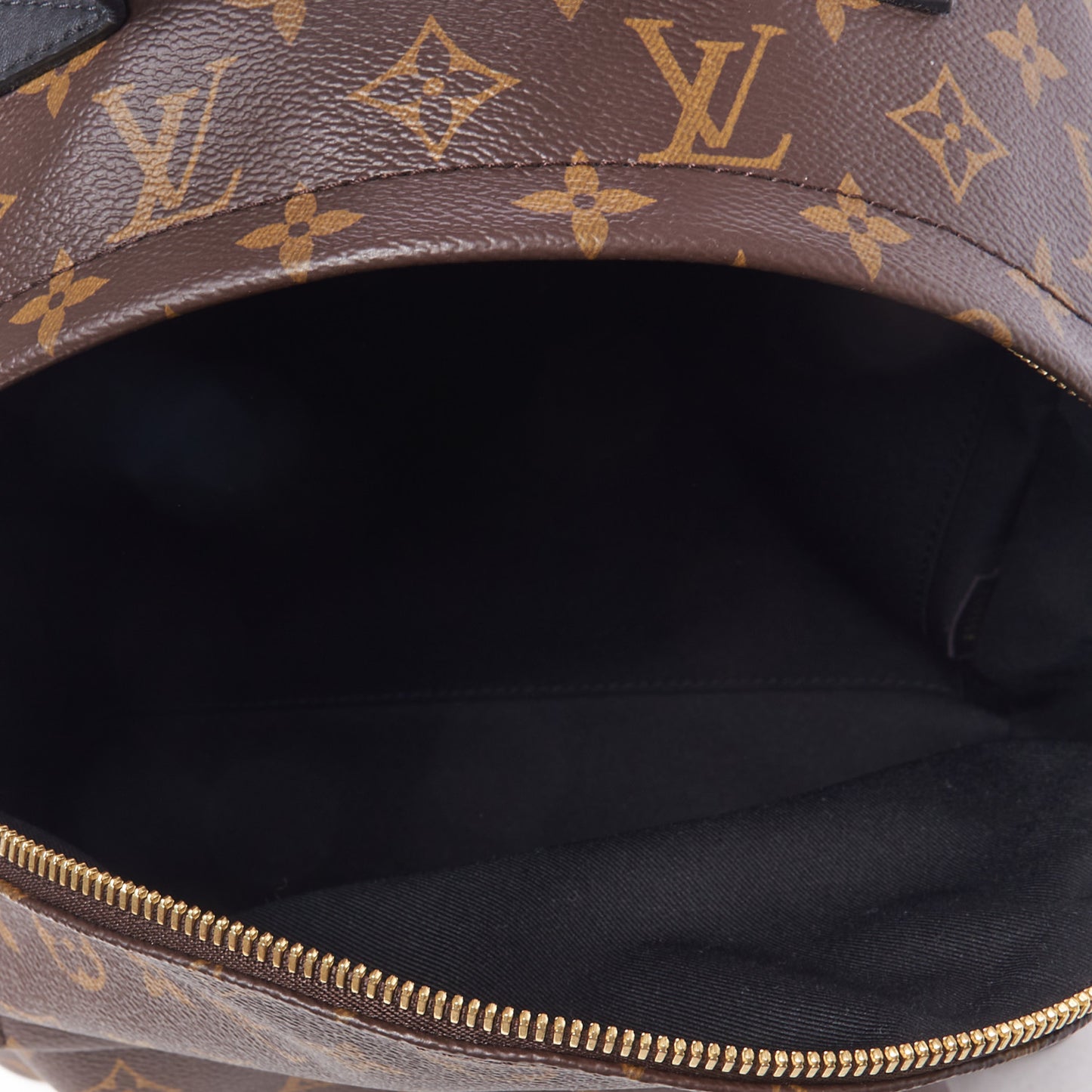Monogram Palm Springs Backpack MM