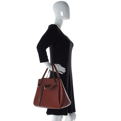 Loewe Boxcalf Lazo Tote Rust 2 of 9