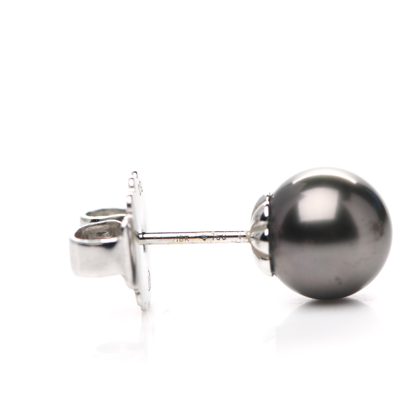 18K White Gold Black South Sea Pearl 9mm Stud Earrings