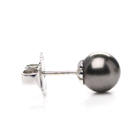 Mikimoto 18K White Gold Black South Sea Pearl 9mm Stud Earrings 4 of 5