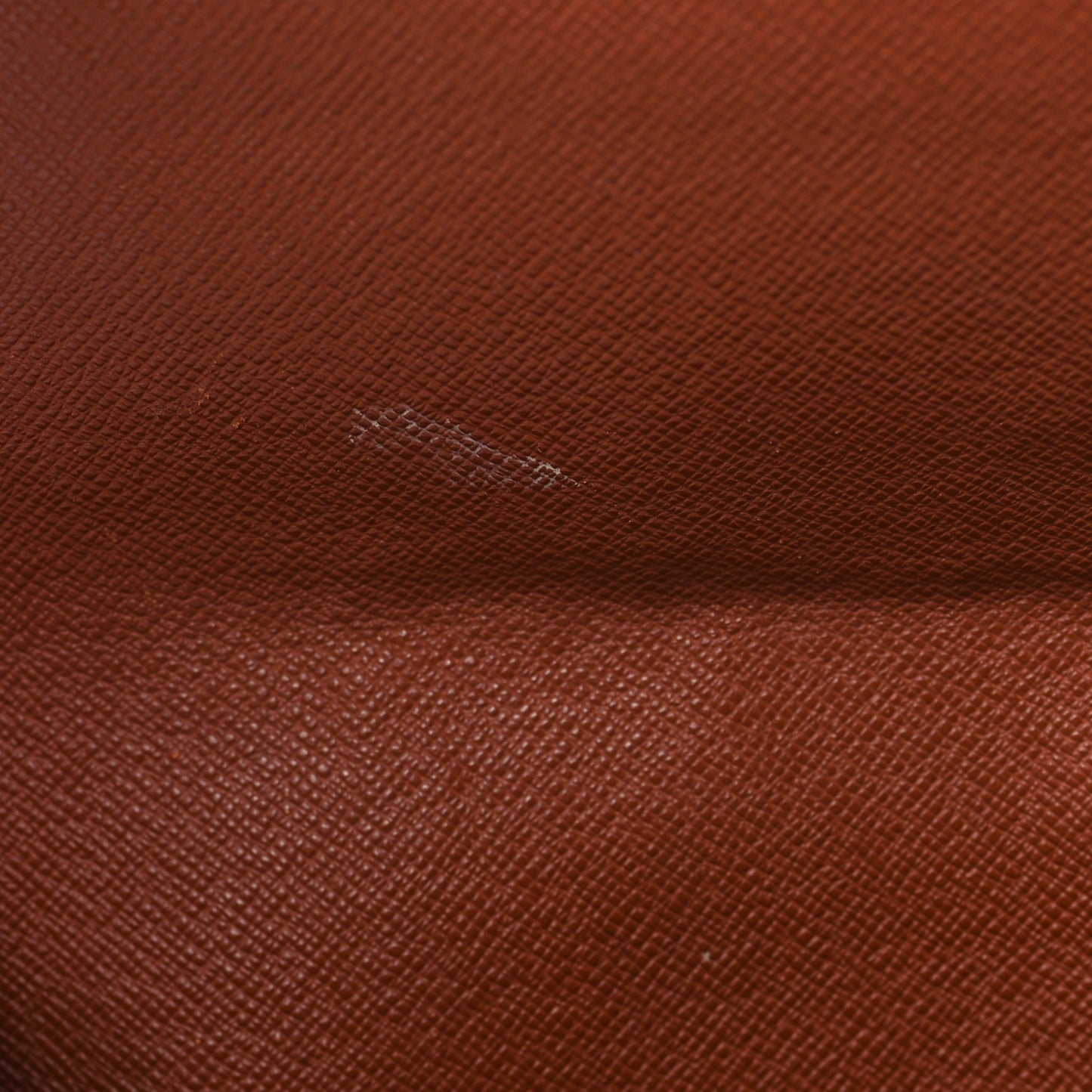 Monogram Musette Salsa