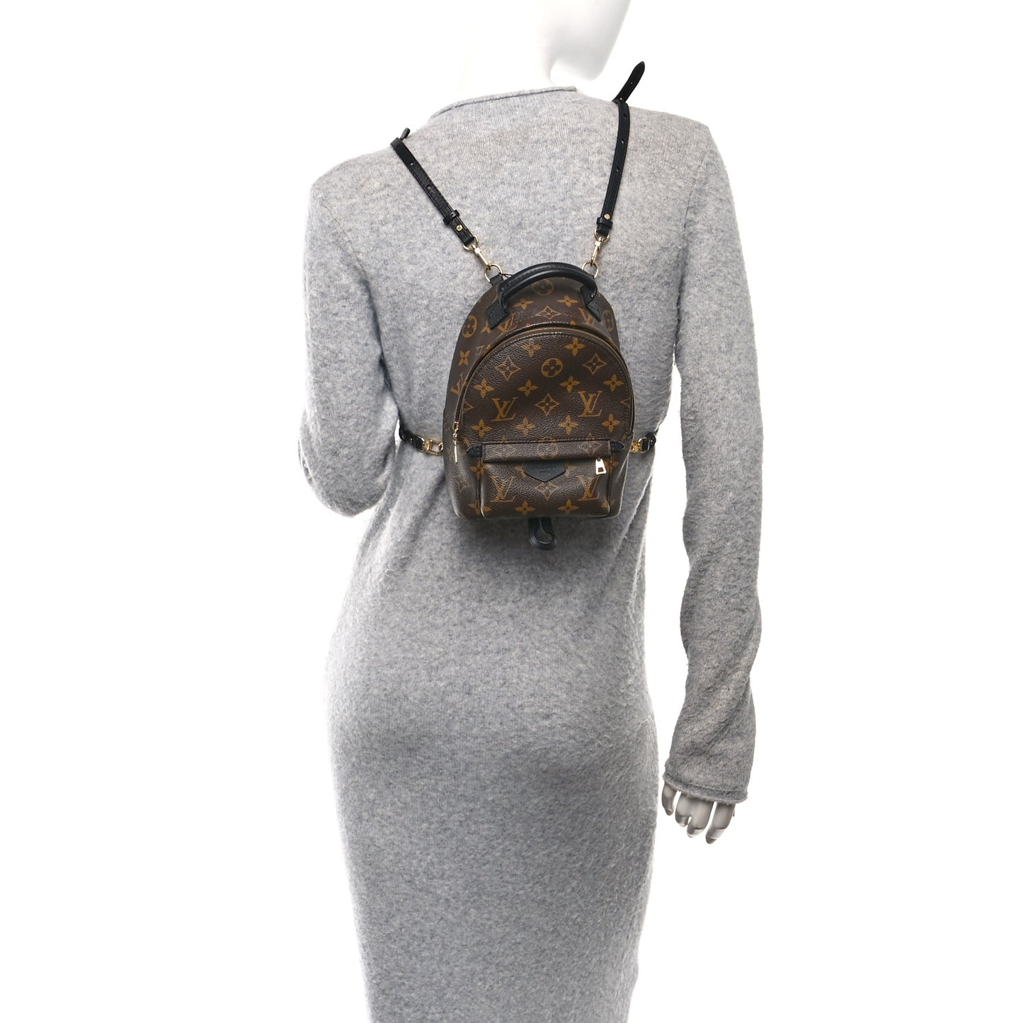 Monogram Palm Springs Backpack Mini
