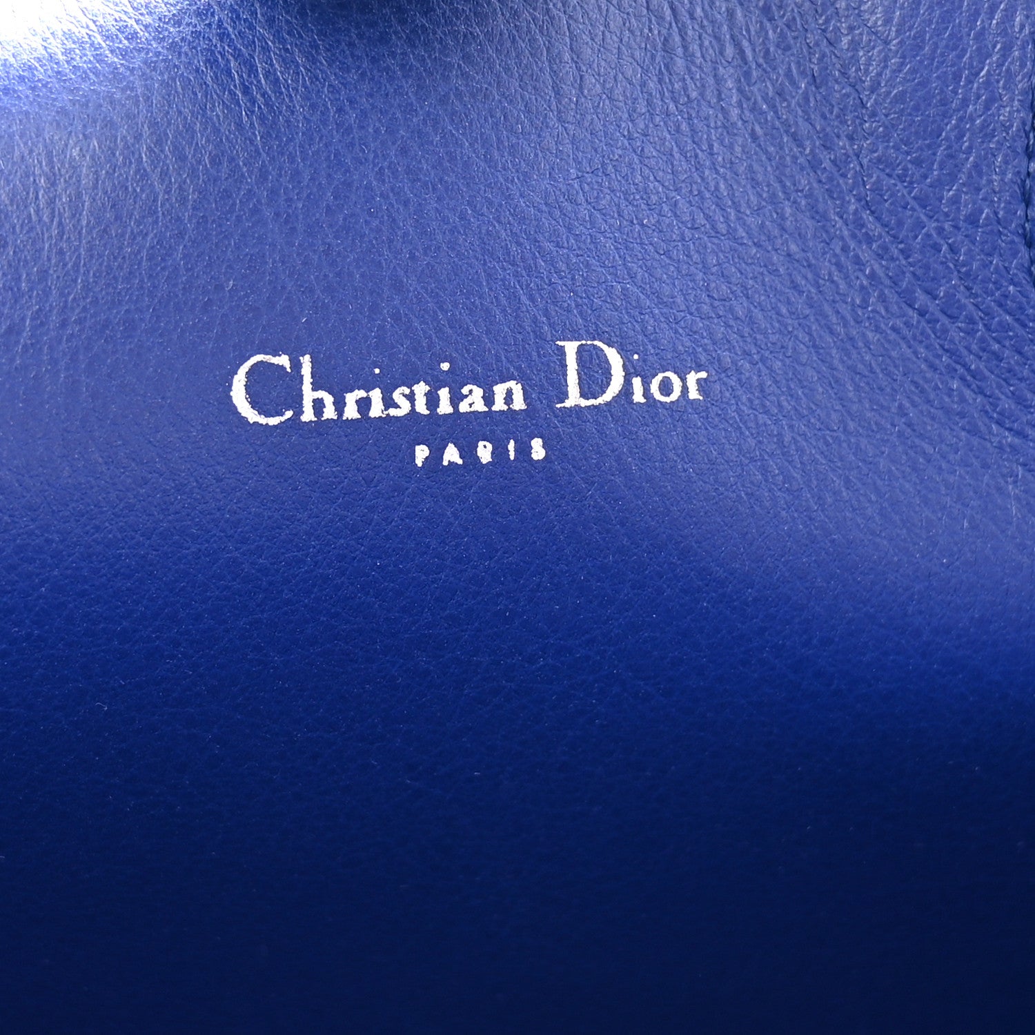 Christian Dior Calfskin Snakeskin Handle Large Addict Shopping Tote Blue 6 of 15