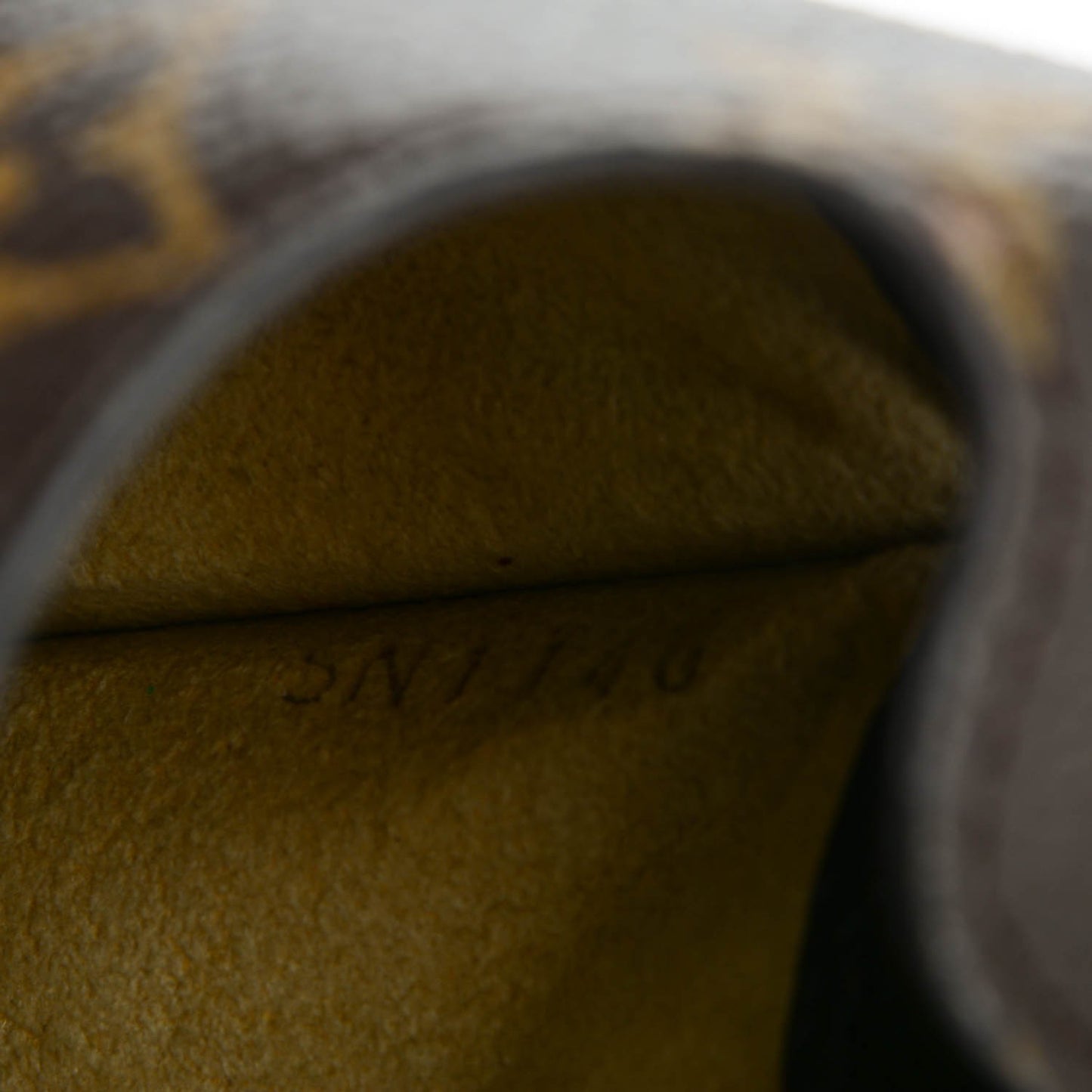 Monogram Sunglasses Case MM