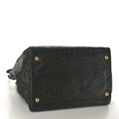 Prada Ostrich Small Double Zip Tote Black 4 of 9