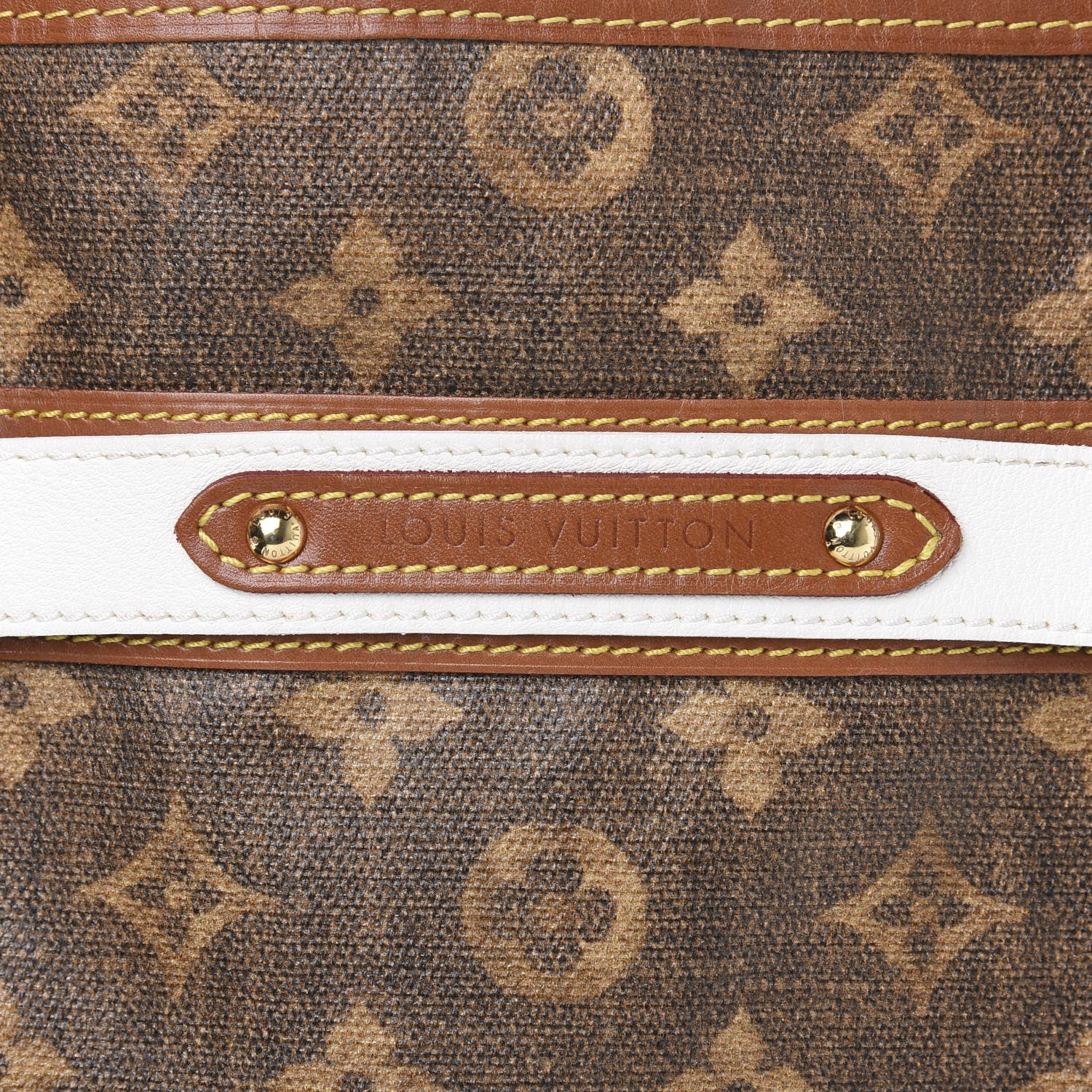 Louis Vuitton Monogram Rayures Tisse Sac PM 10 of 13