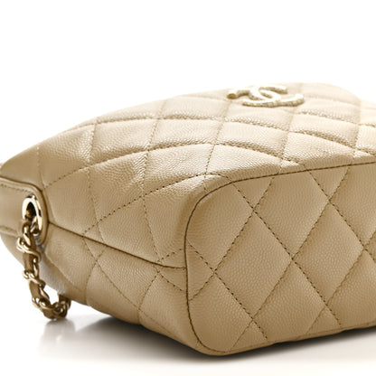Chanel Caviar Quilted Hobo Dark Beige 9 of 12