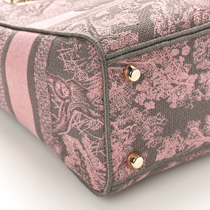 Christian Dior Canvas Toile De Jouy Embroidered Medium Lady D-Lite Gray Pink 8 of 9