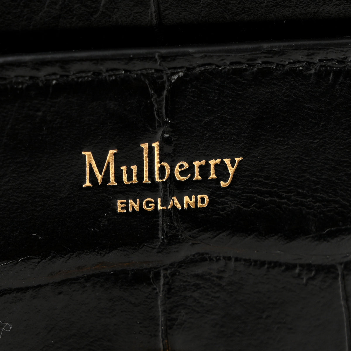 Crocodile Embossed Calfskin Small Darley Black