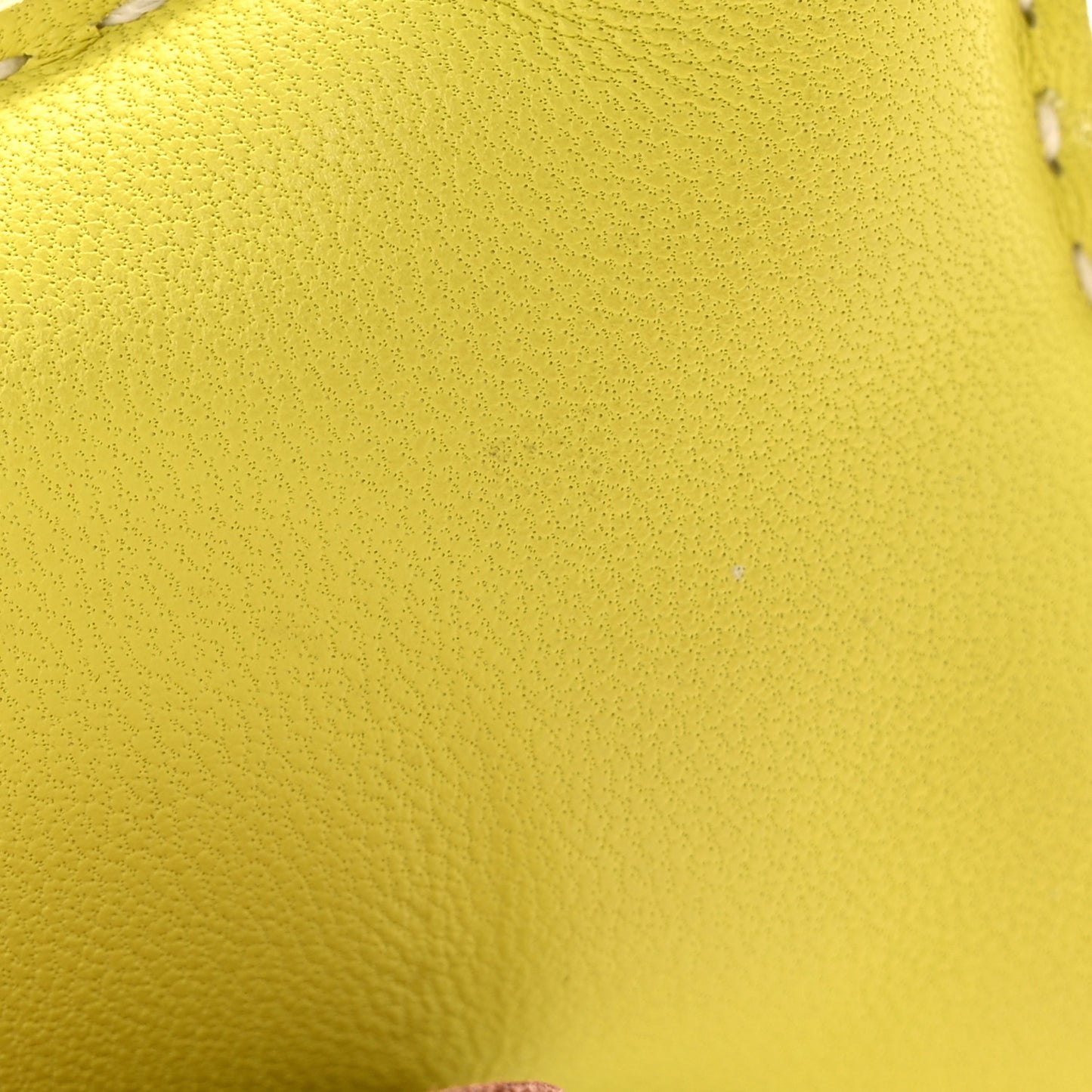 Milo Lambskin Grigri Rodeo Horse Bag Charm MM Lime Menthe Fauve