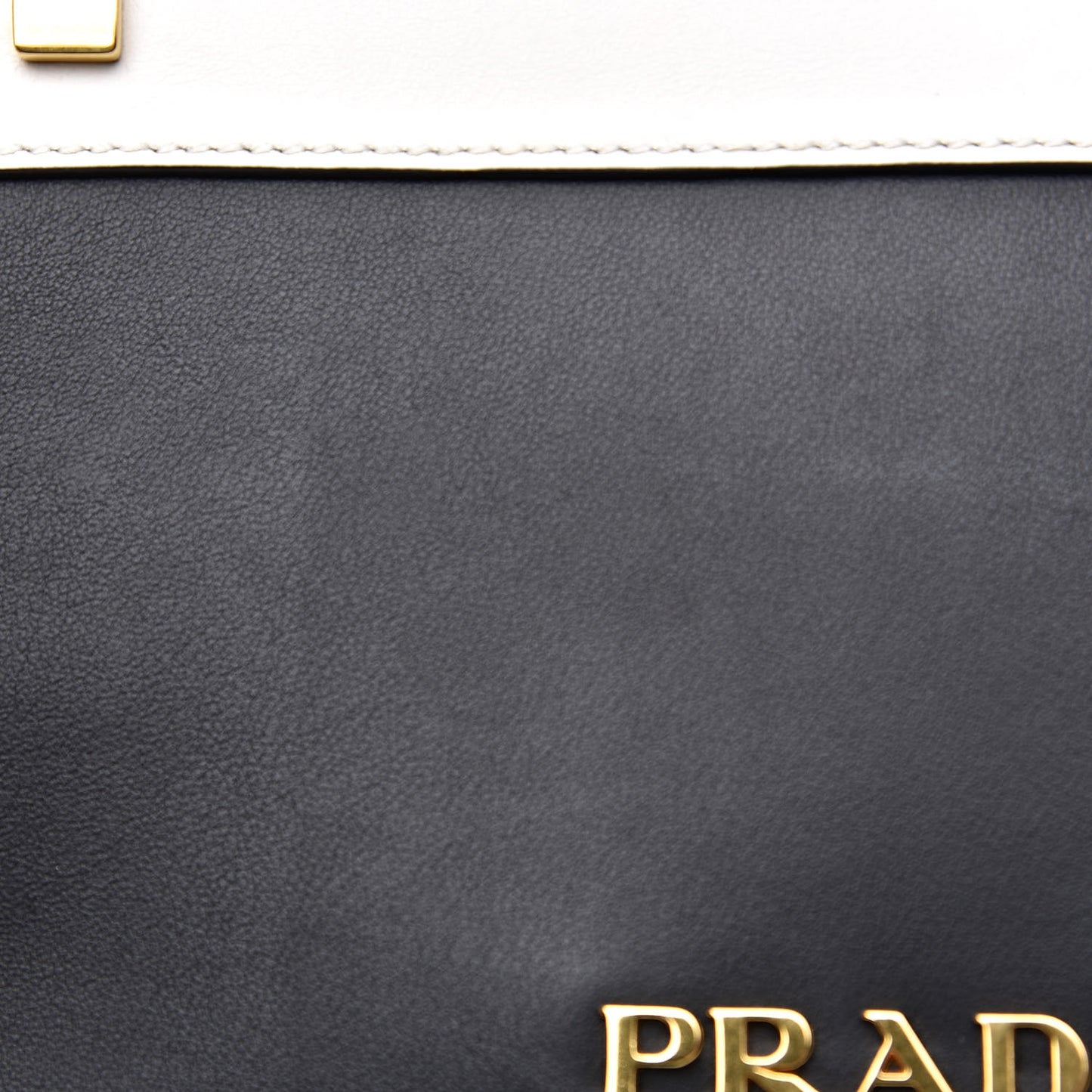 City Calfskin Pionniere Saddle Bag Black White