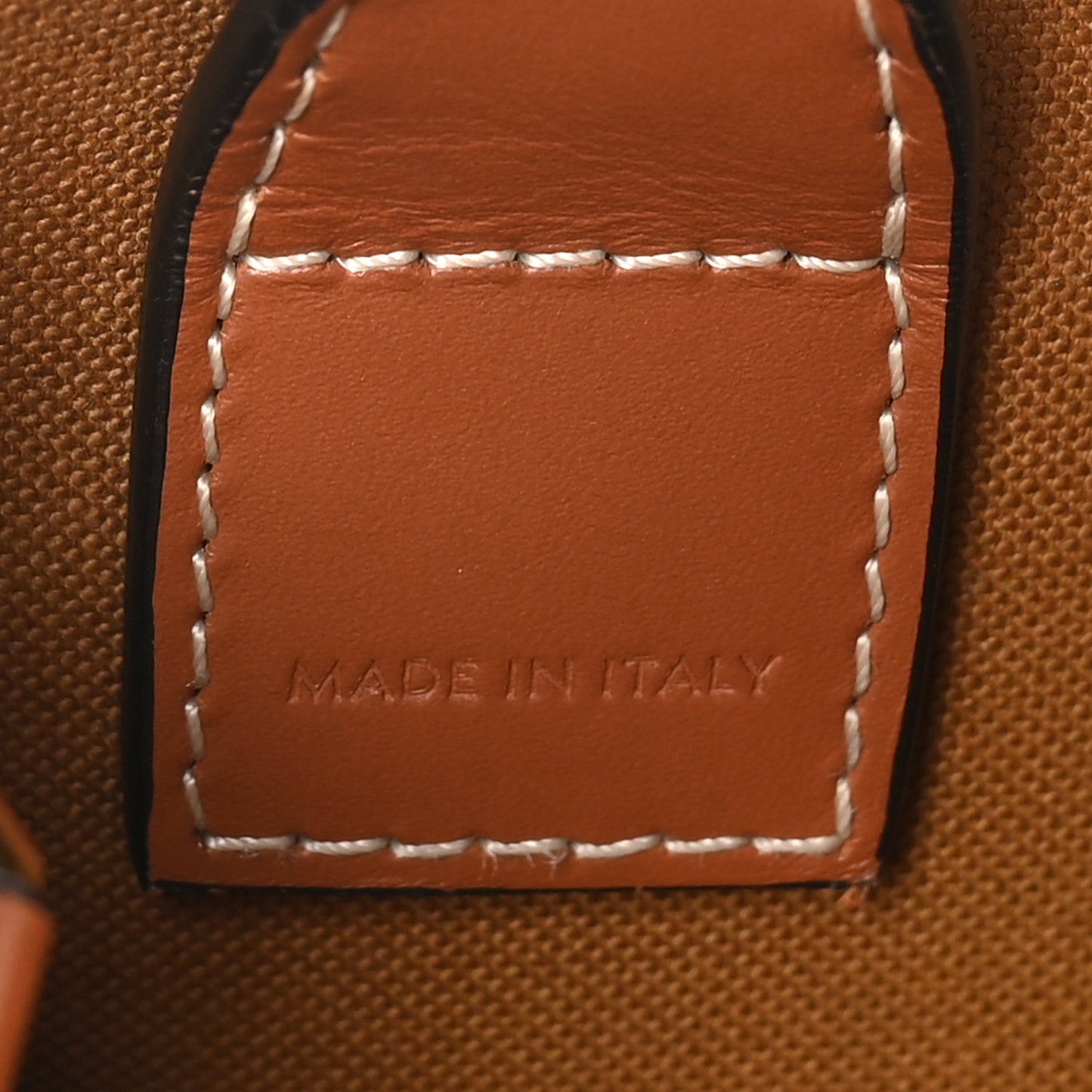 Triomphe Canvas Calfskin Mini Vertical Cabas Tan