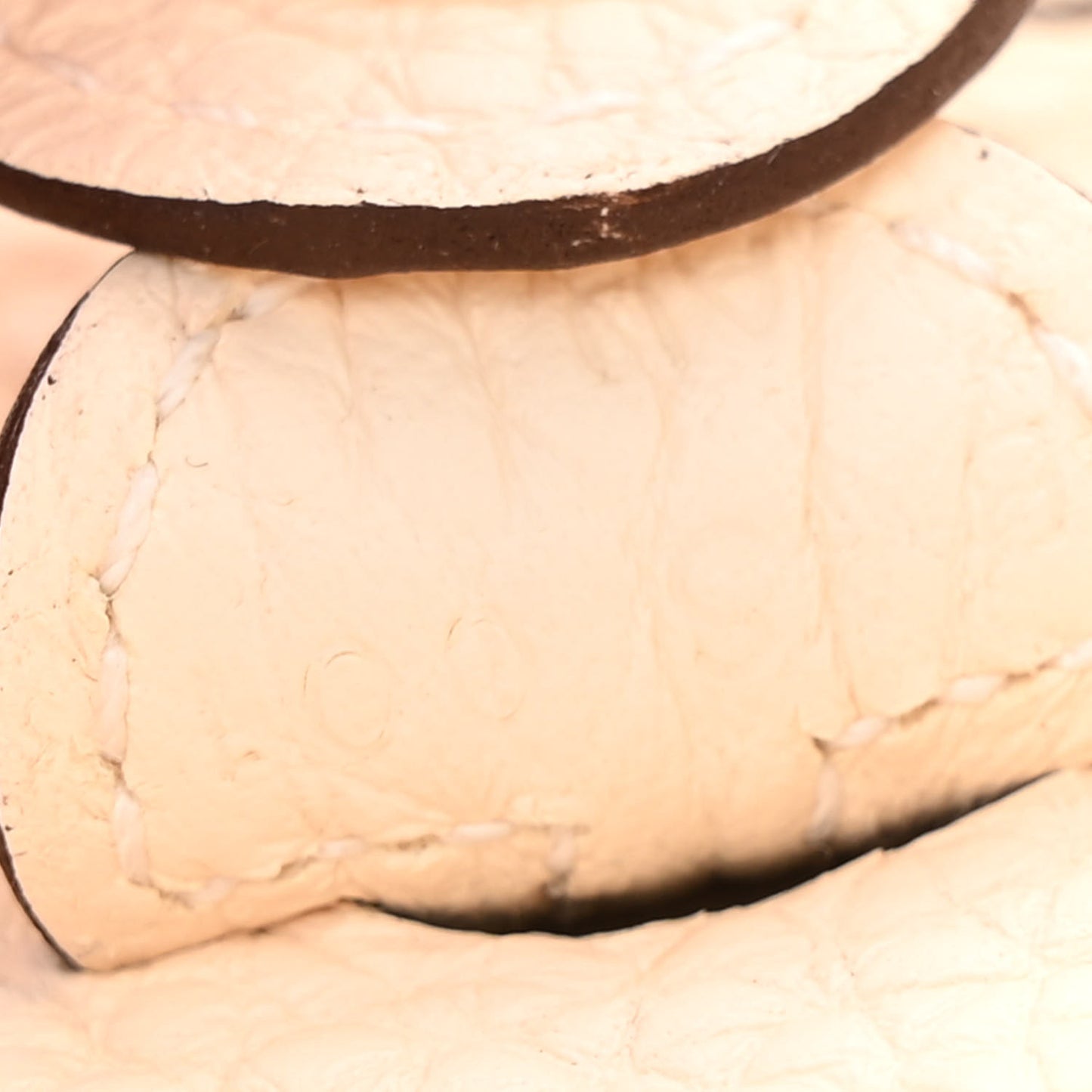 Taurillon Clemence Evelyne TPM Nata