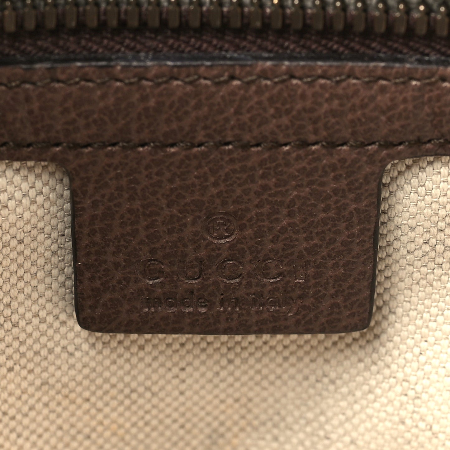 GG Supreme Monogram Web Small Ophidia Half Moon Hobo Brown