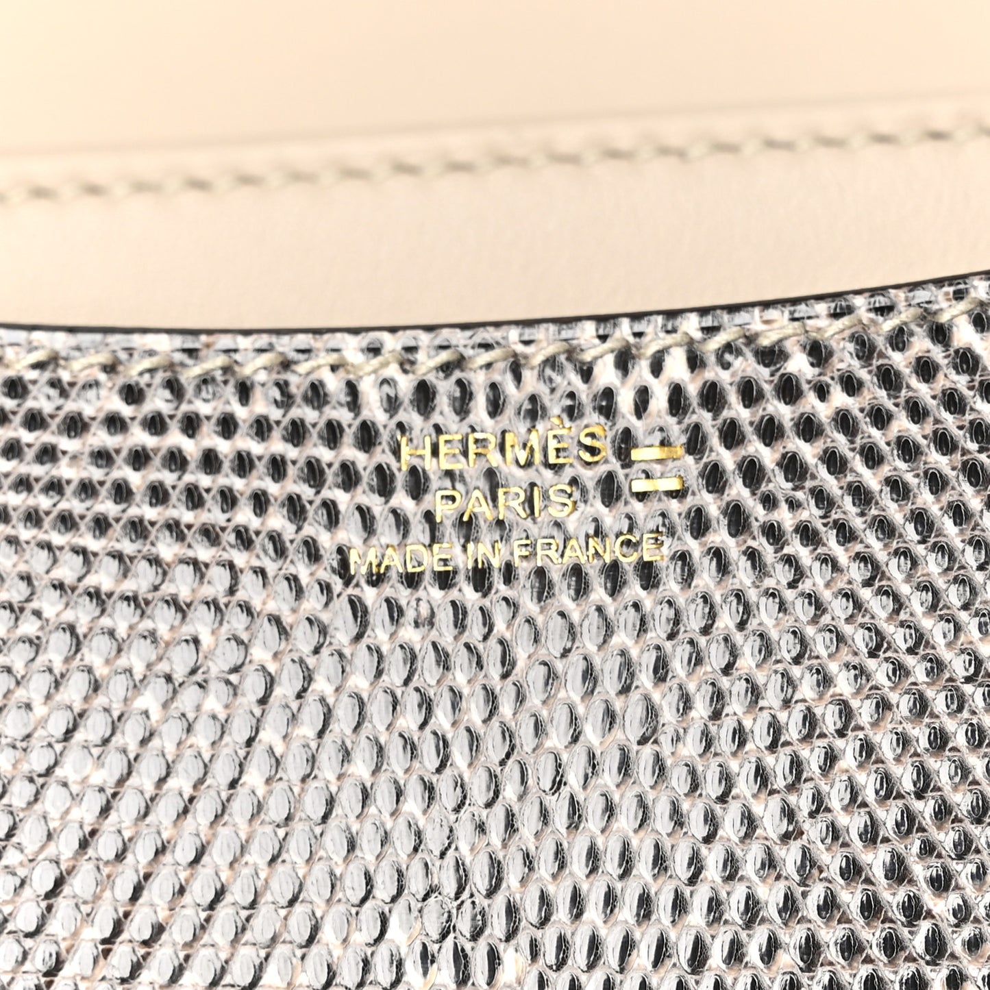 Lizard Constance 18 Ombre