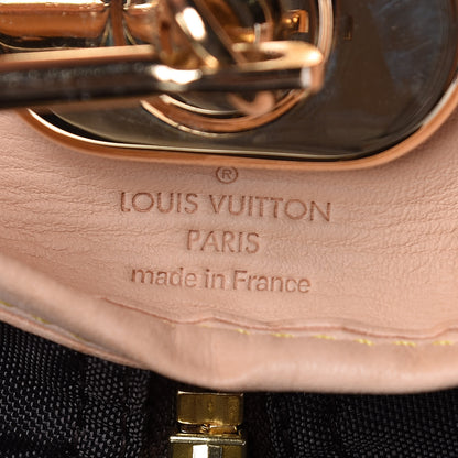 Louis Vuitton Monogram Garment Cover 2 Hangers 6 of 8