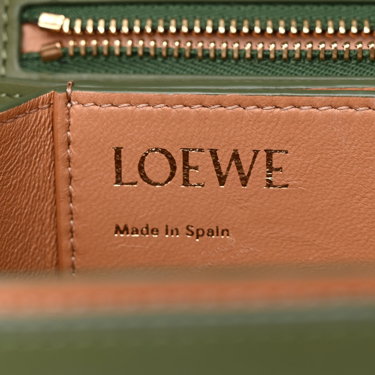 Loewe Silk Calfskin Goya Bag Avocado 6 of 16