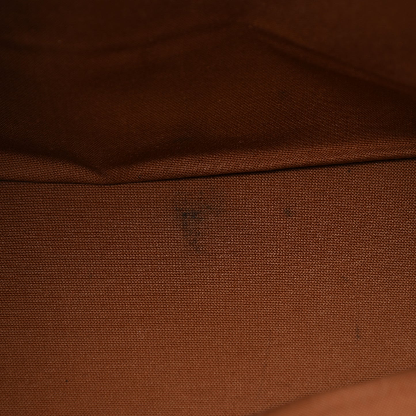 Monogram Cabas Mezzo