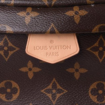 Louis Vuitton Monogram Bumbag 7 of 10
