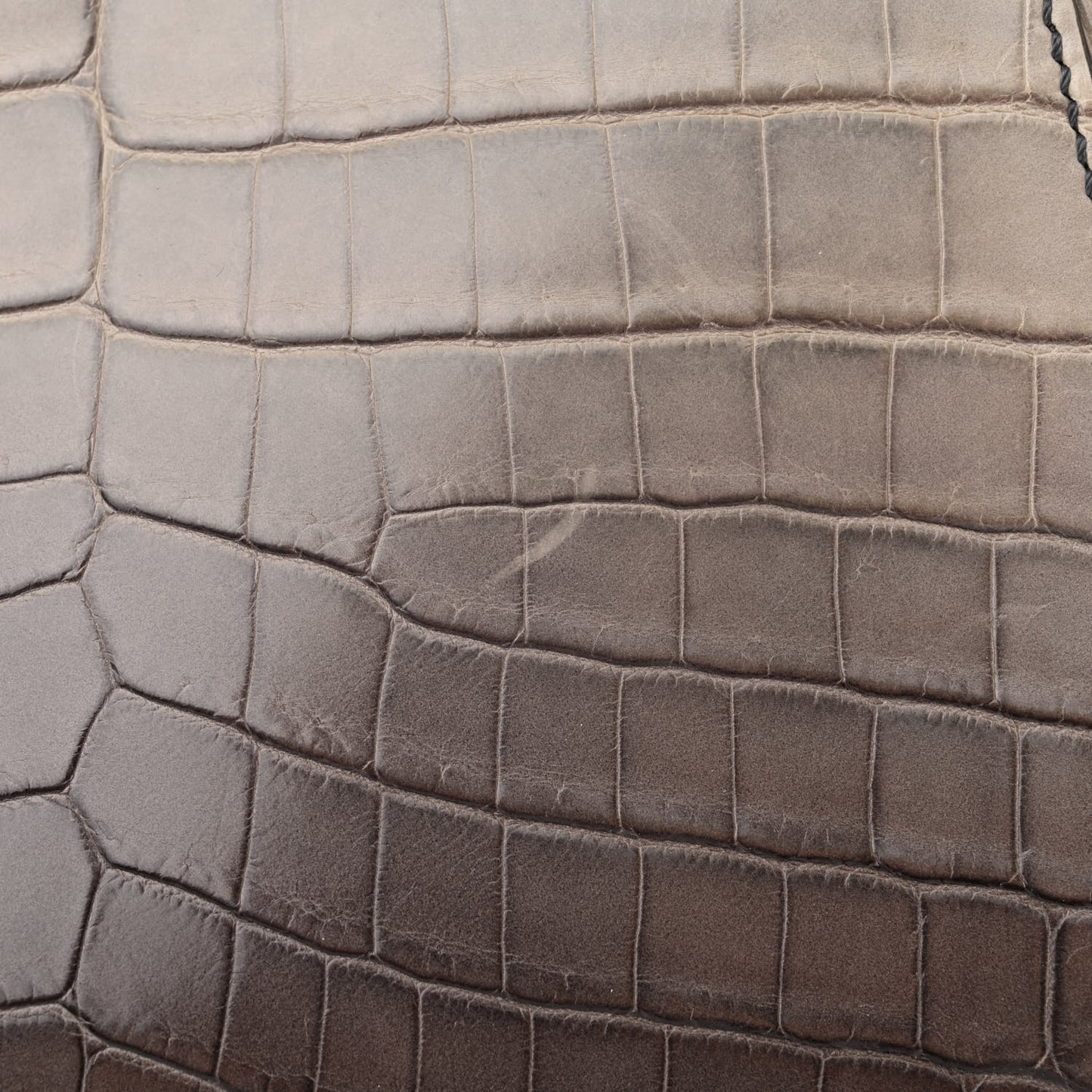 Shiny Crocodile Shiny Nappa Degrade Mini Peekaboo Iconic Satchel Grey