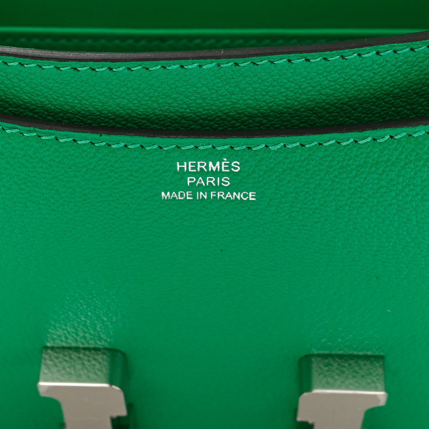 Chevre Mysore Constance 18 Menthe
