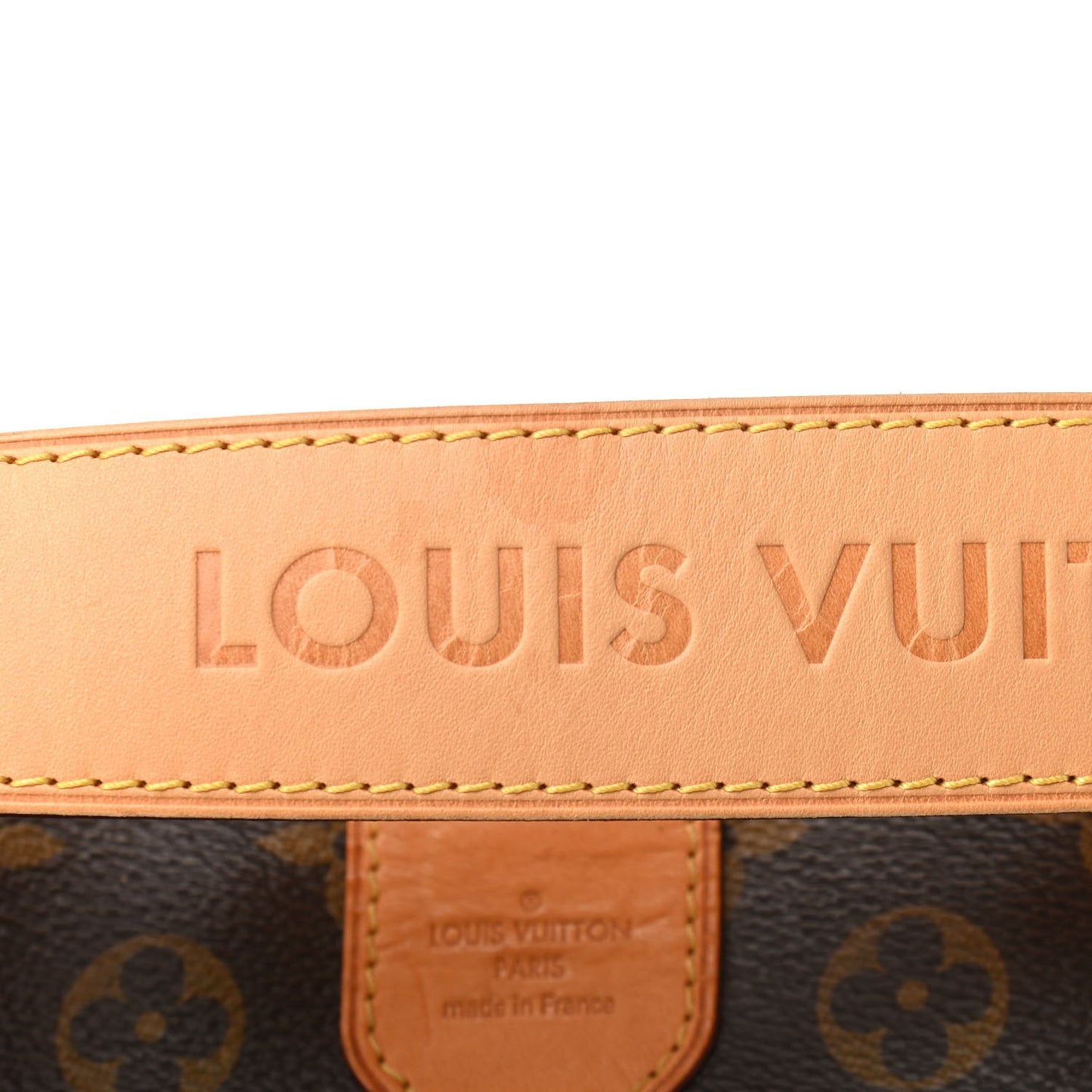 Monogram Delightful MM