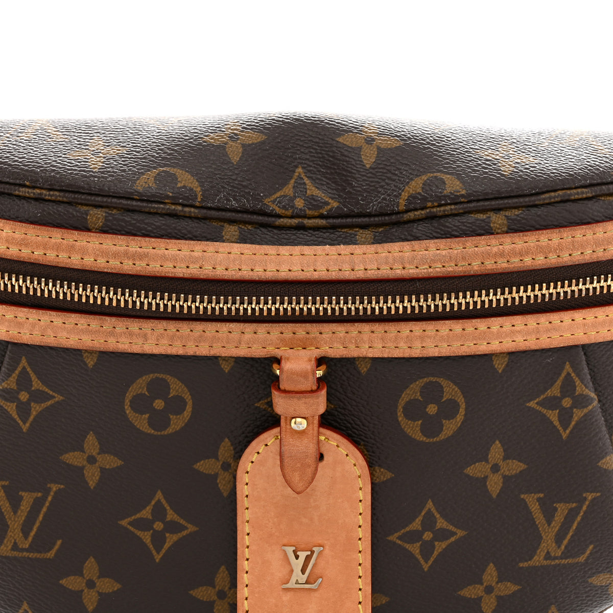 Monogram High Rise Bumbag