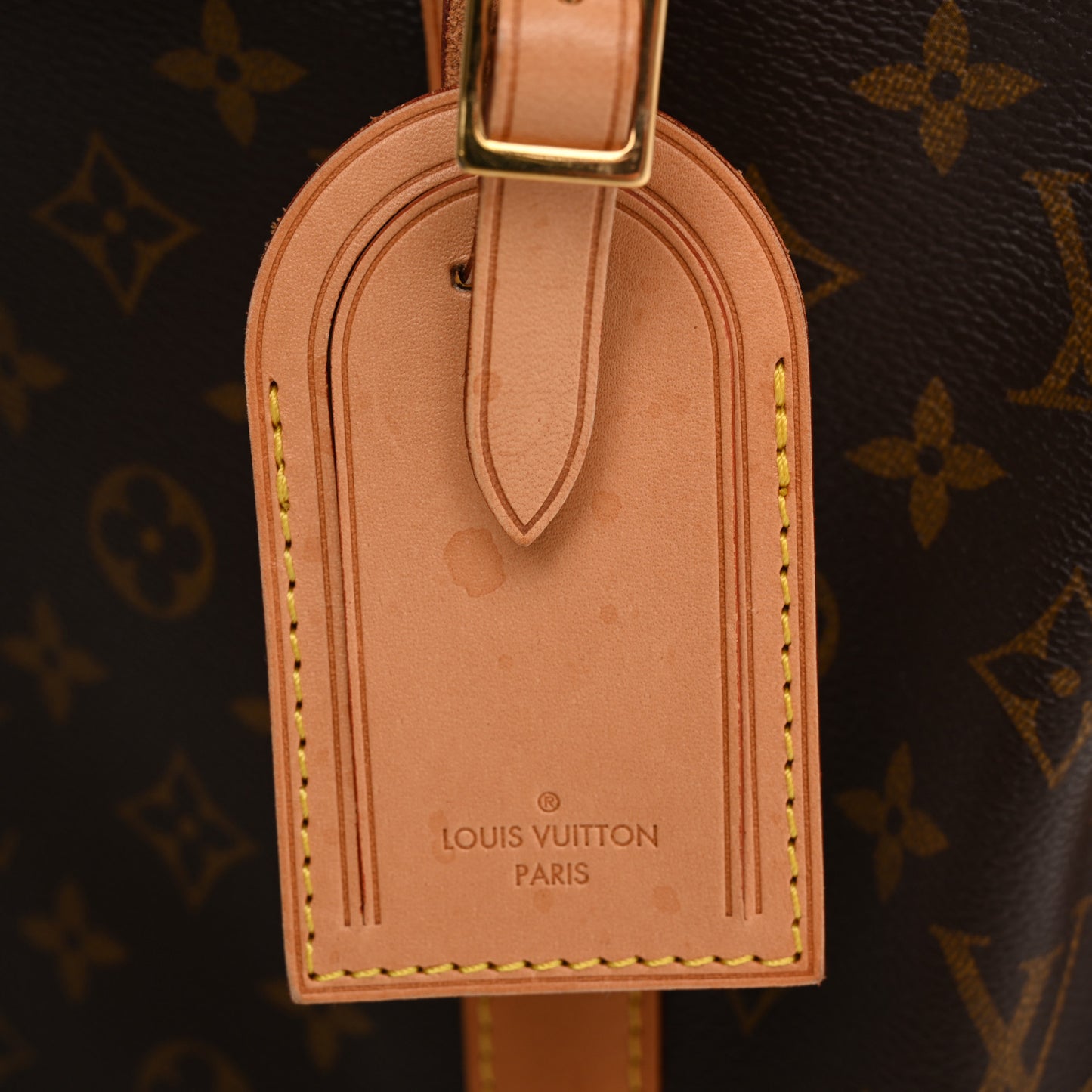 Monogram Dog Carrier 40