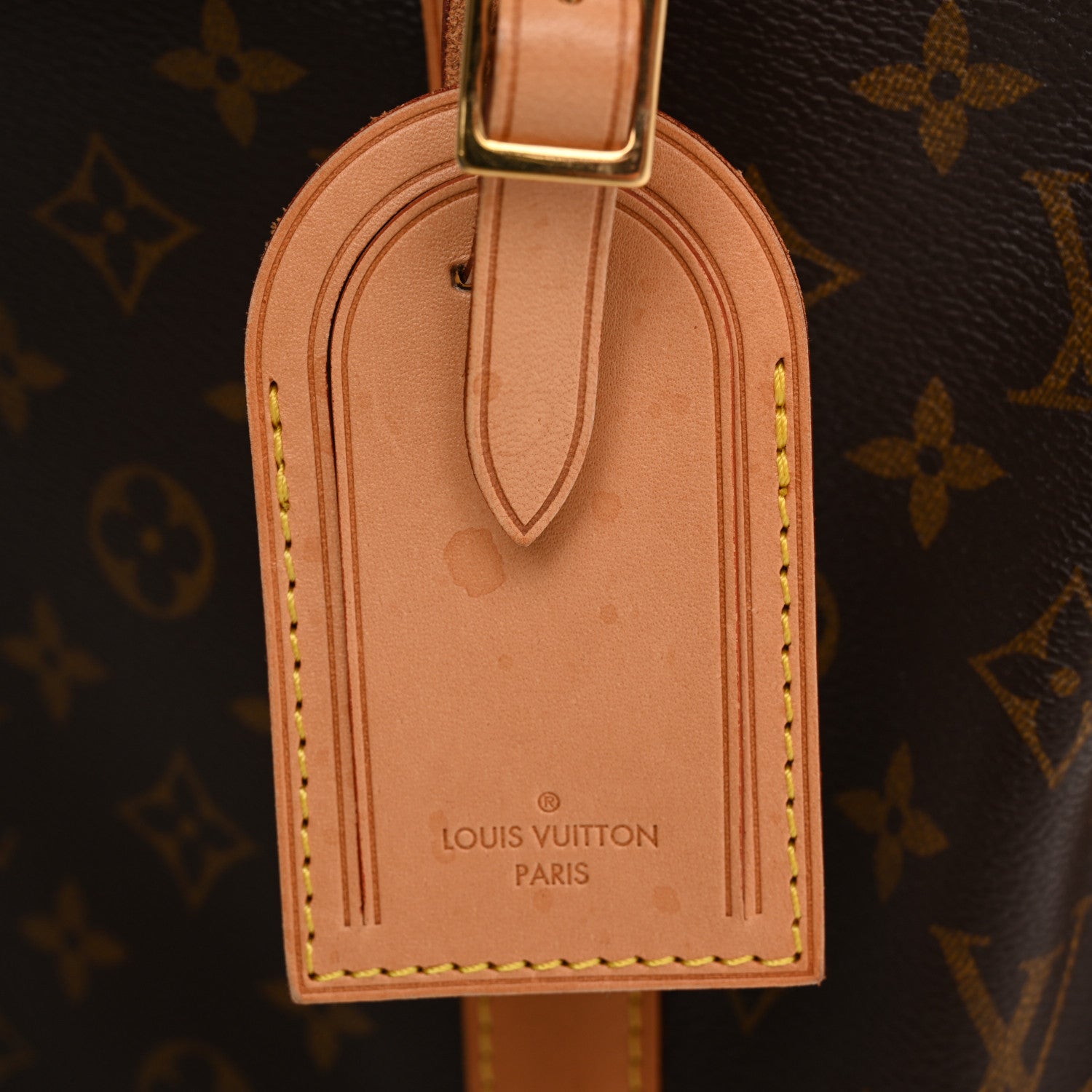 Louis Vuitton Monogram Dog Carrier 40 12 of 18