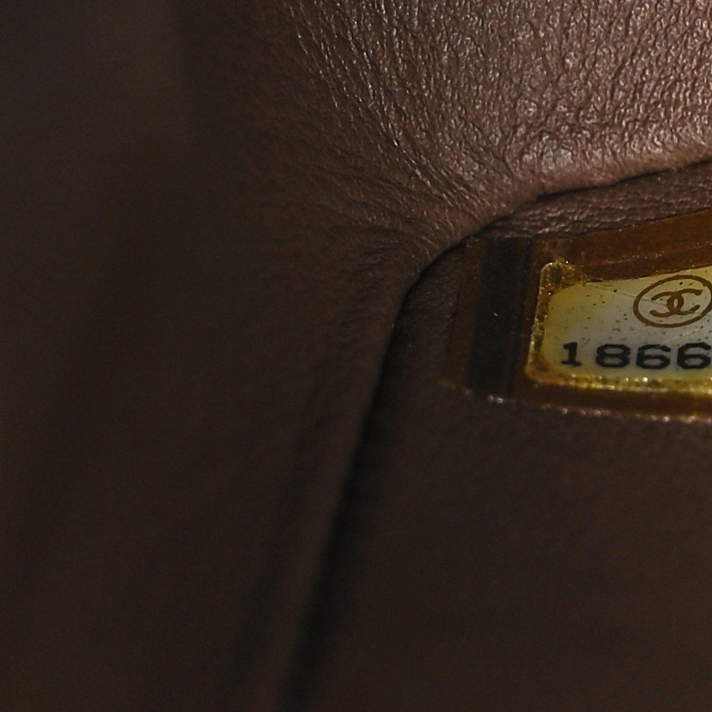 Calfskin Crocodile Embossed Cocodile Rectangular Mini Flap Brown