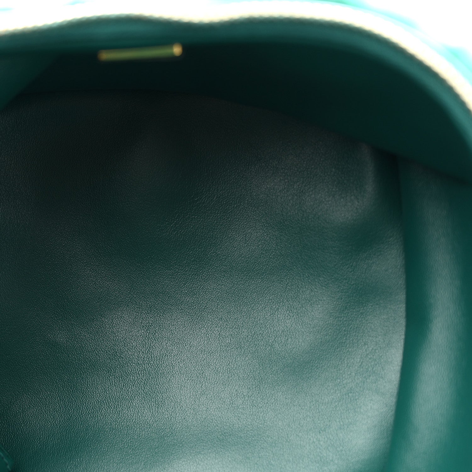 Chanel Shearling Lambskin Quilted Small Vanity Case Green 6 of 11