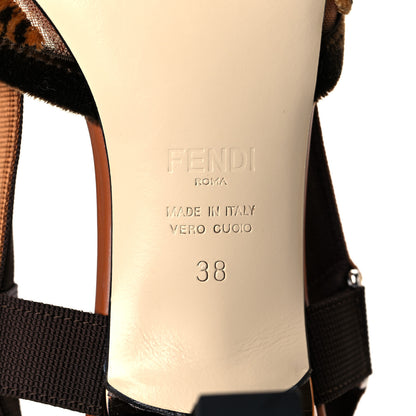 Fendi Mesh Velvet Karligraphy Colibri 55mm Slingback Pumps 38 Nocciola 6 of 9