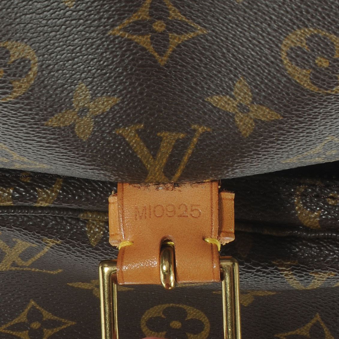 Monogram Montsouris GM Backpack