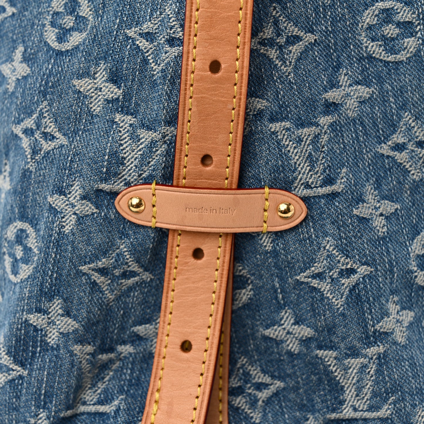 Monogram Denim CarryAll MM Blue