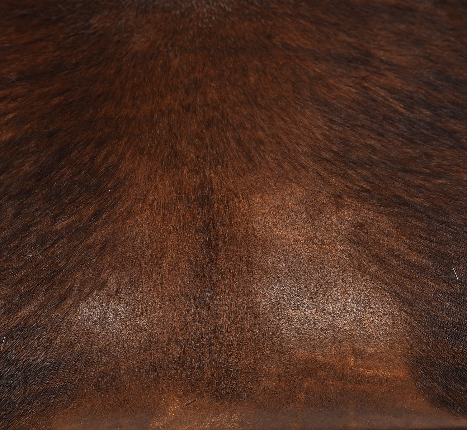Celine Shaded Pony Hair Calfskin Medium Phantom Luggage Brown 13 of 13