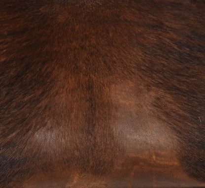 Celine Shaded Pony Hair Calfskin Medium Phantom Luggage Brown 13 of 13