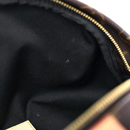 Louis Vuitton Monogram Bumbag 10 of 22