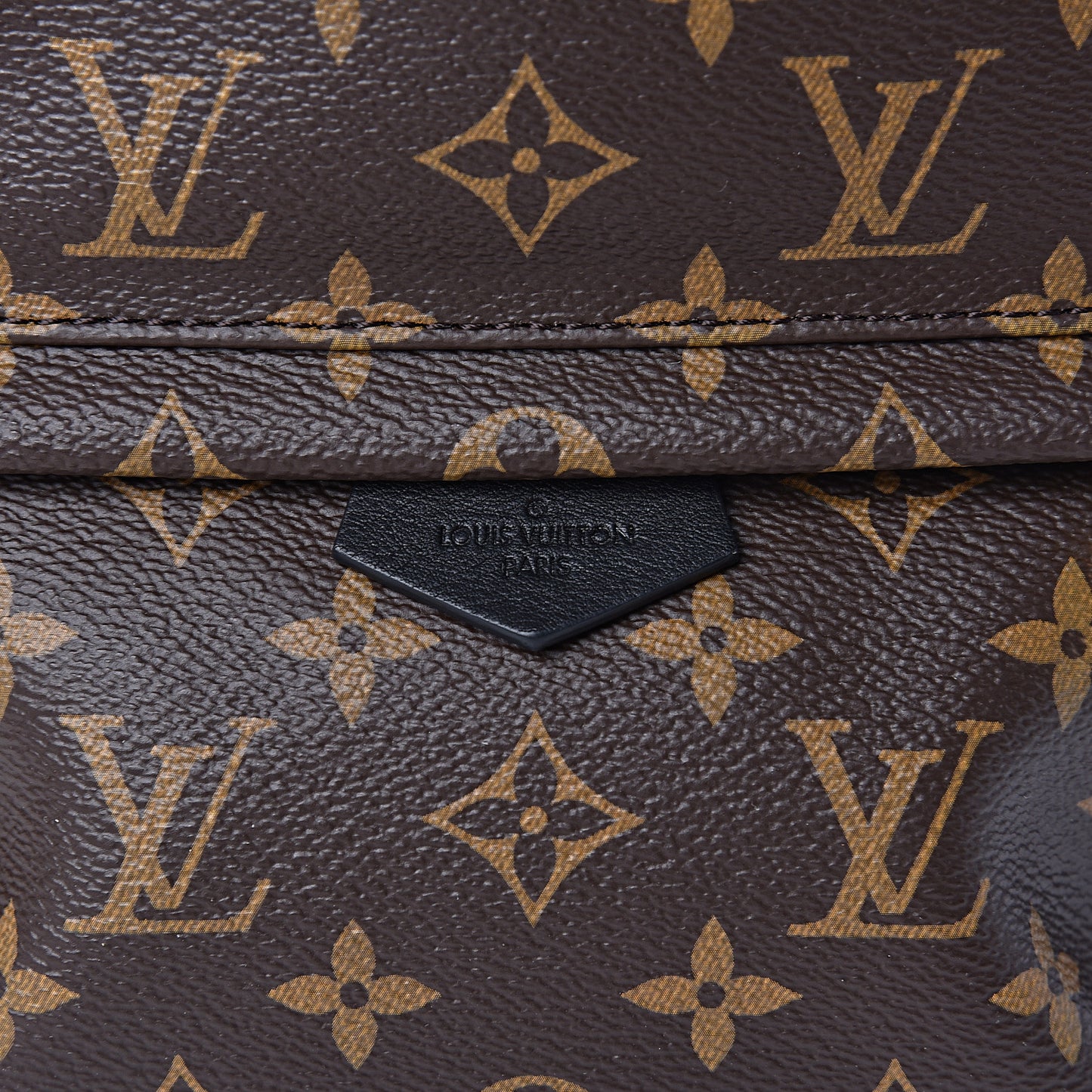 Monogram Palm Springs Backpack PM