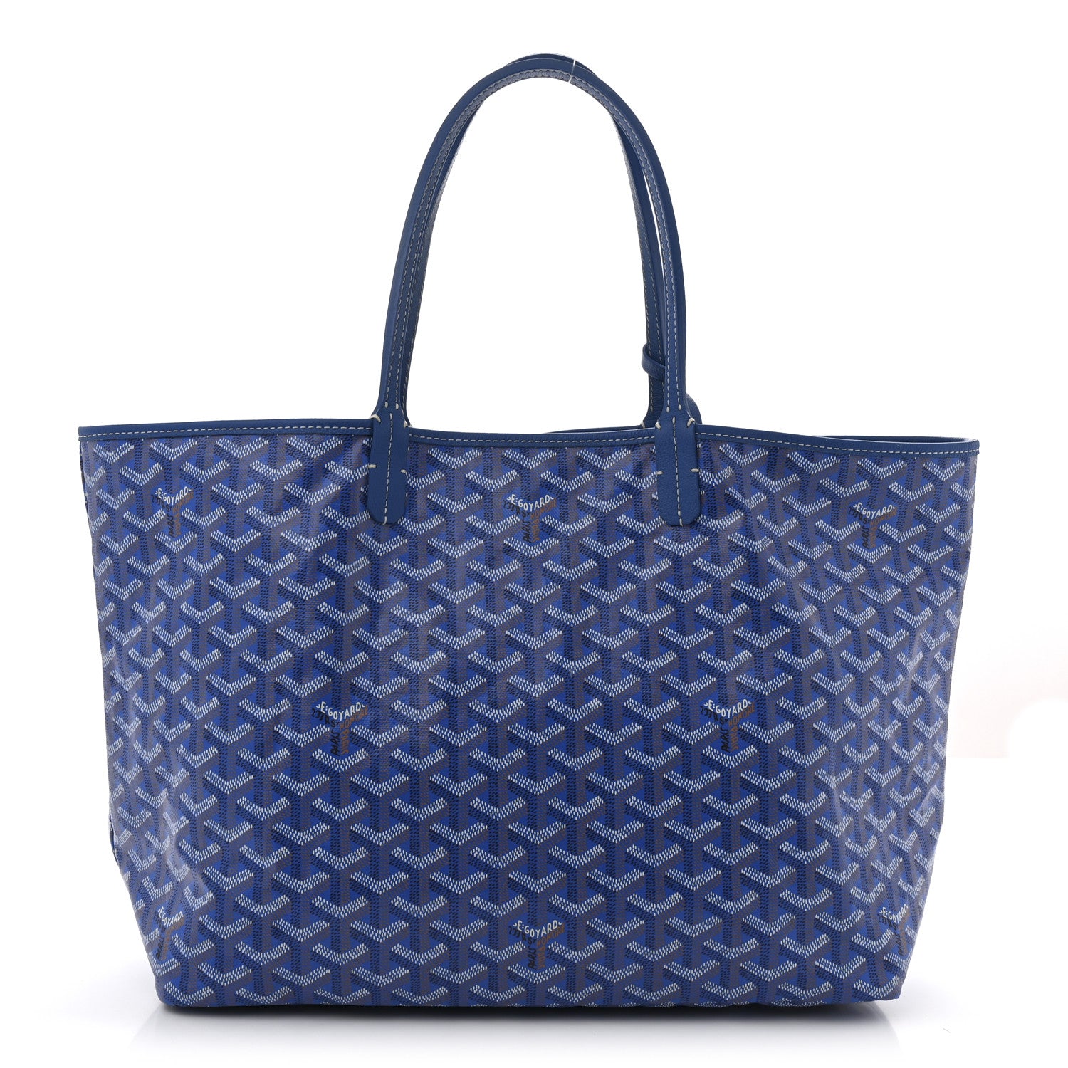 Goyard Goyardine Saint Louis PM Sky Blue 1 of 9